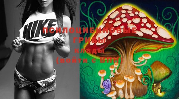 ешки Иннополис